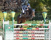 LUPINO Biricchina bella GioCav2013 S6 7561 : Biricchina bella, Campionati Italiani Giovani Cavalli, Cattolica, LUPINO NICO, ph Stefano Secchi ©